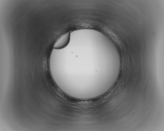 X0000113010465200908270943