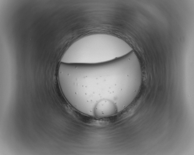 X0000113010466200908270943
