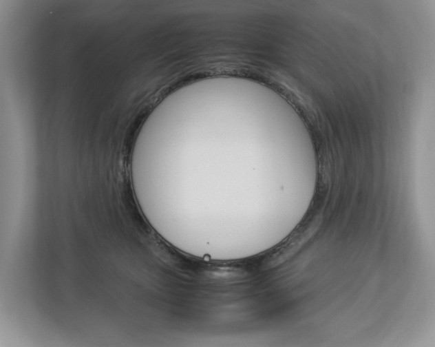 X0000113010467200908270943