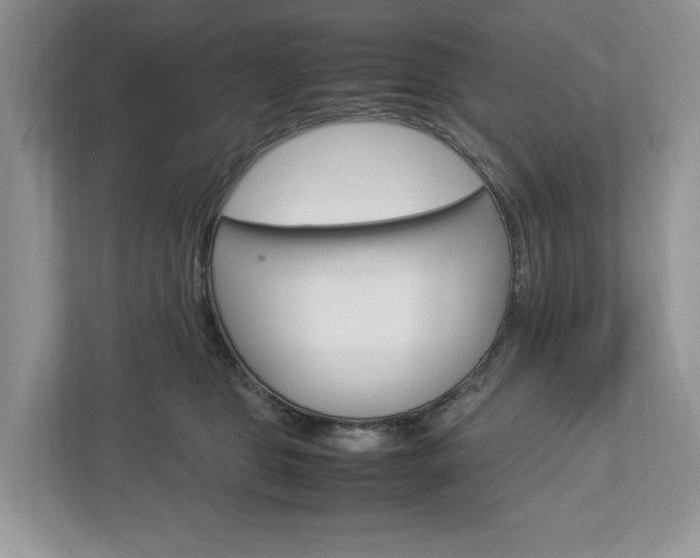 X0000113010469200908270943