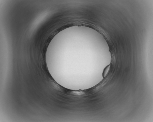 X0000113010477200908270943