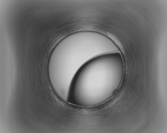 X0000113010481200908270943