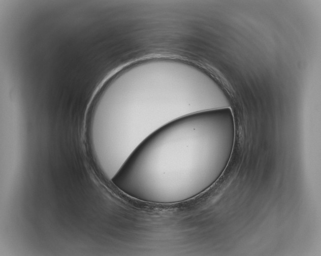 X0000113010484200908270943