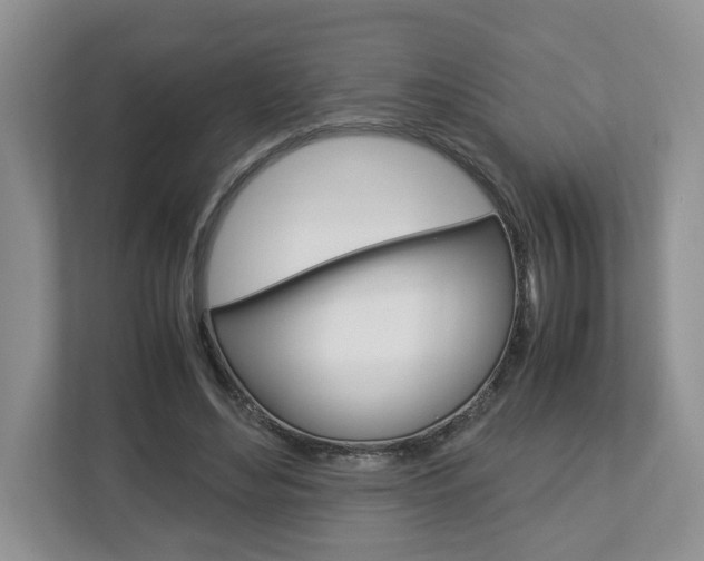 X0000113010492200908270942