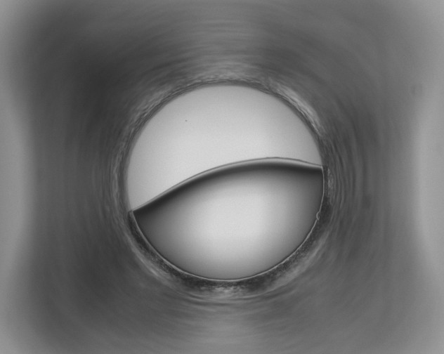 X0000113010493200908270942