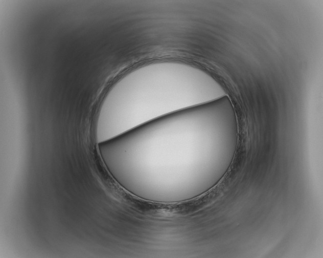X0000113010496200908270942