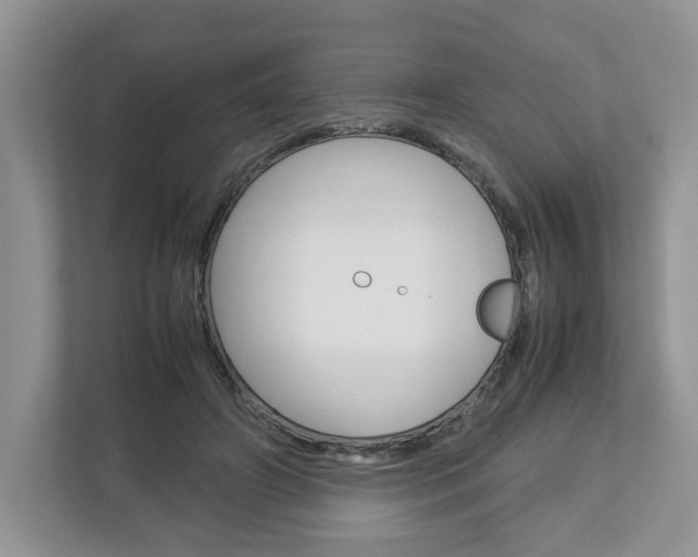 X0000113010498200908270942