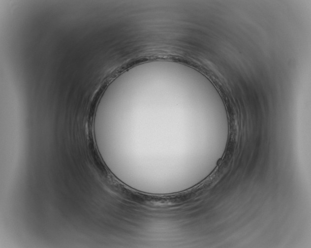 X0000113010500200908270942