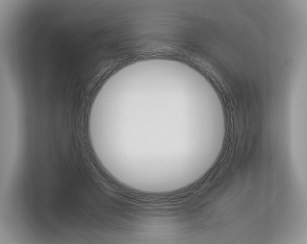 X0000113010501200908270942