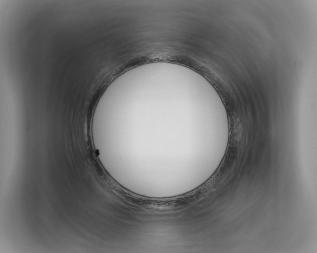 X0000113010502200908270942