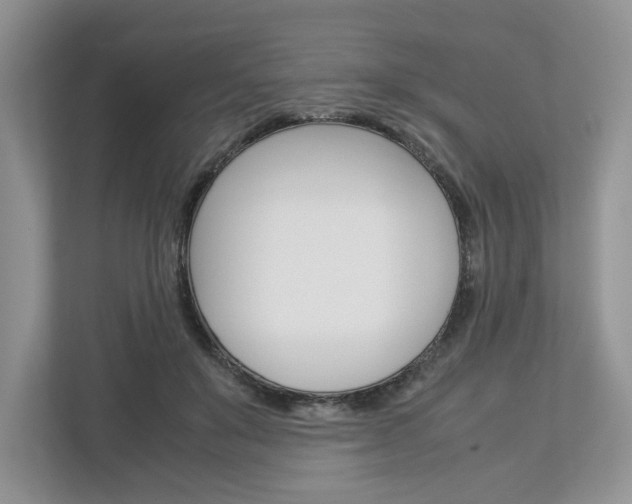 X0000113010503200908270942