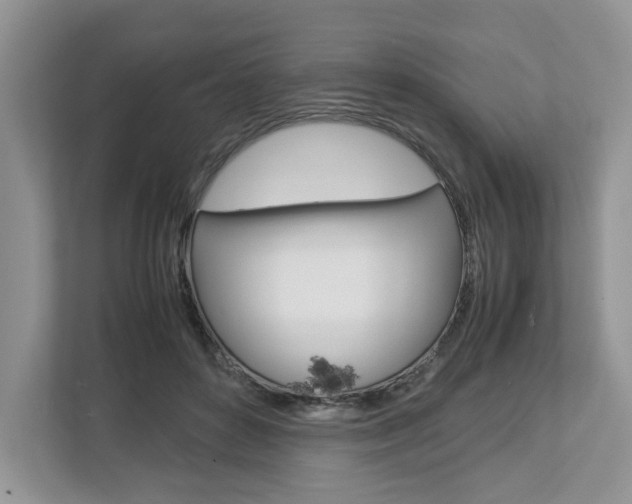 X0000113010504200908270942