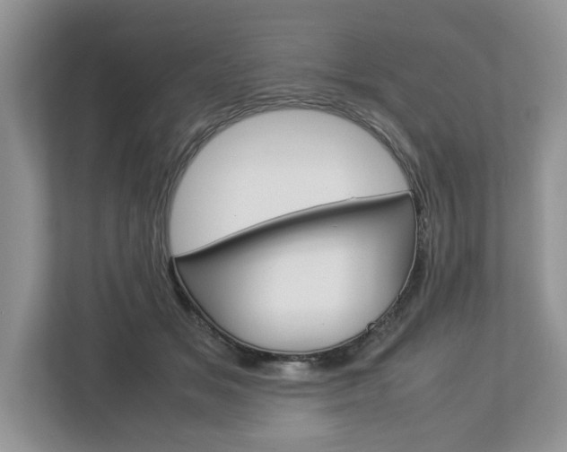 X0000113010509200908270942