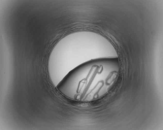 X0000113010513200908270942