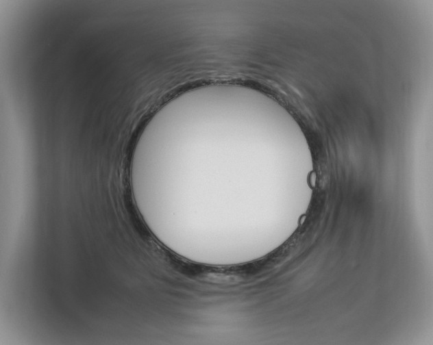 X0000113010515200908270942