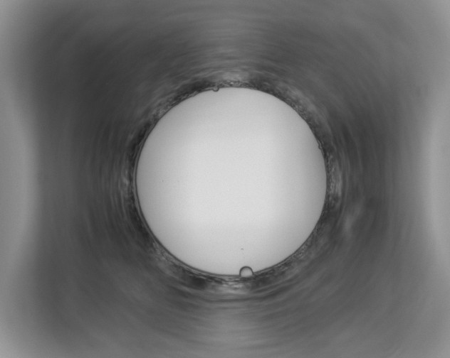 X0000113010518200908270942