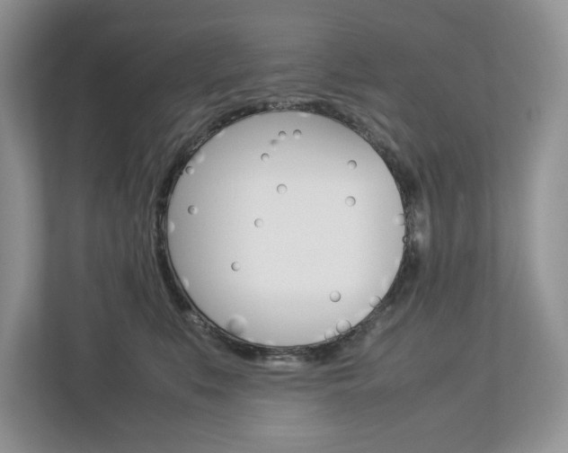 X0000113010519200908270942