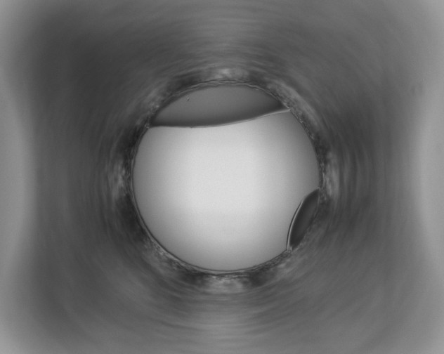 X0000113010520200908270942