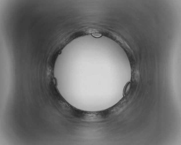 X0000113010521200908270942