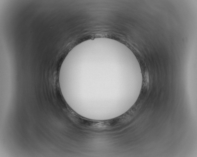 X0000113010522200908270942