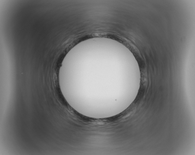 X0000113010523200908270942
