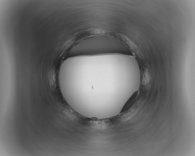 X0000113010524200908270942