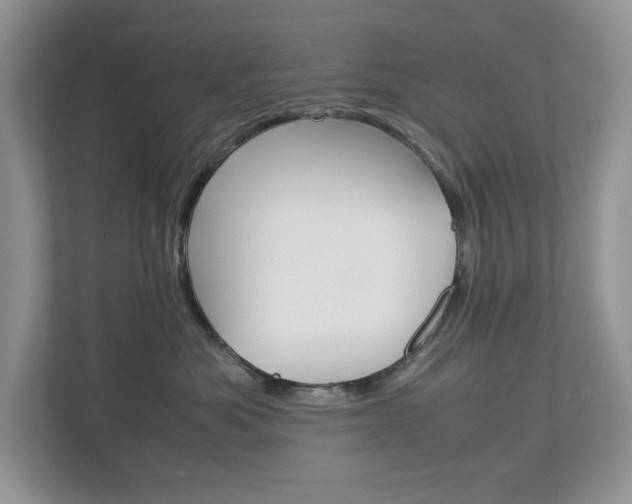 X0000113010525200908270942
