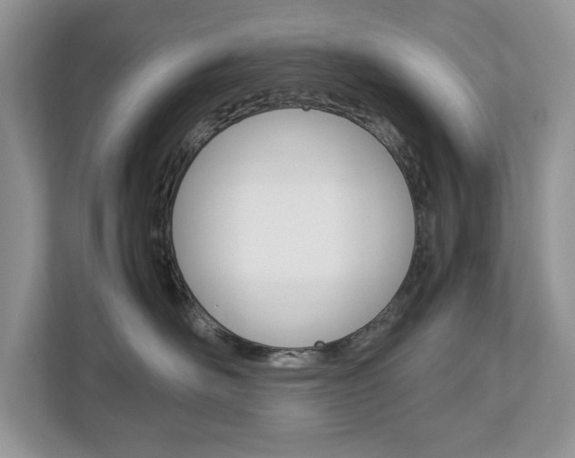 X0000113010526200908270942