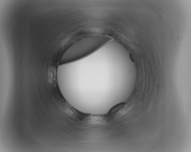 X0000113010528200908270942