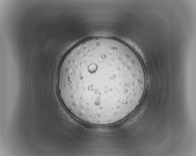 X0000113010529200908270941