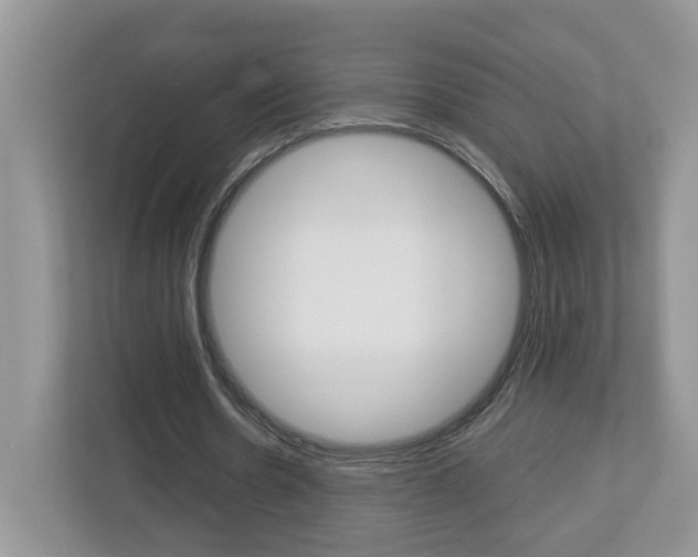 X0000113010530200908270941