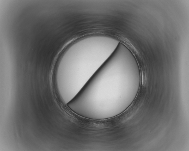 X0000113010531200908270941
