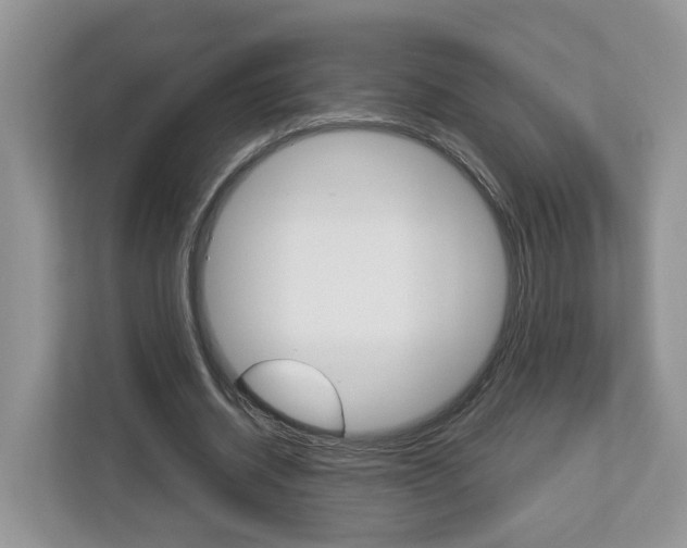 X0000113010534200908270941