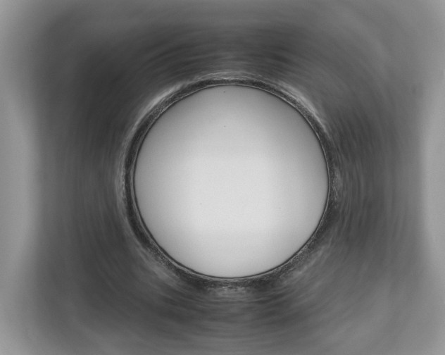 X0000113010535200908270941