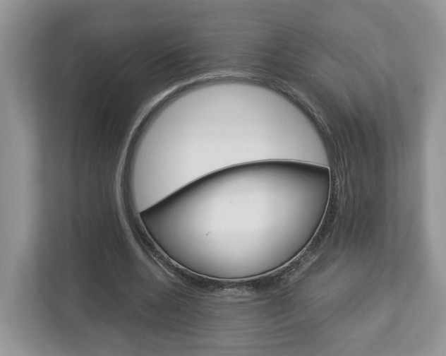 X0000113010536200908270941