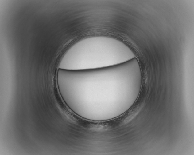 X0000113010542200908270942