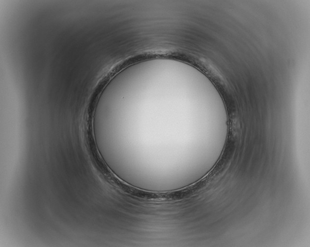 X0000113010544200908270942