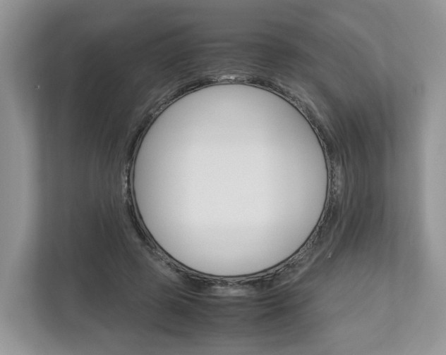 X0000113010545200908270942