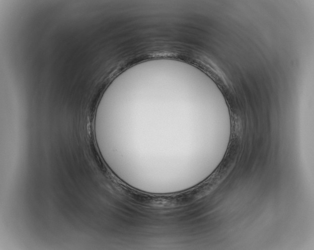 X0000113010549200908270942