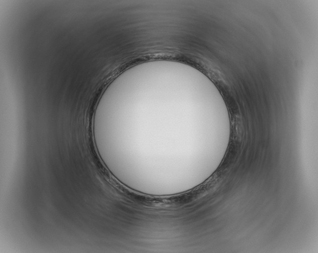 X0000113010550200908270942