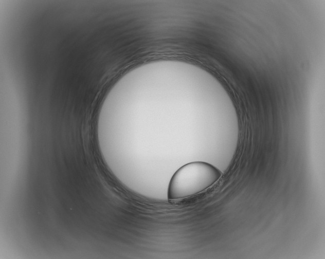 X0000113010552200908270942