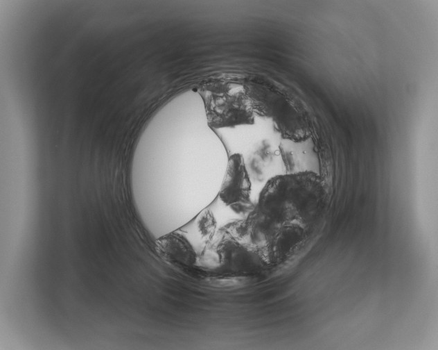 X0000113010553200908270942