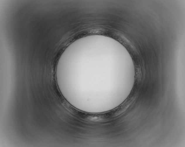 X0000113010557200908270942