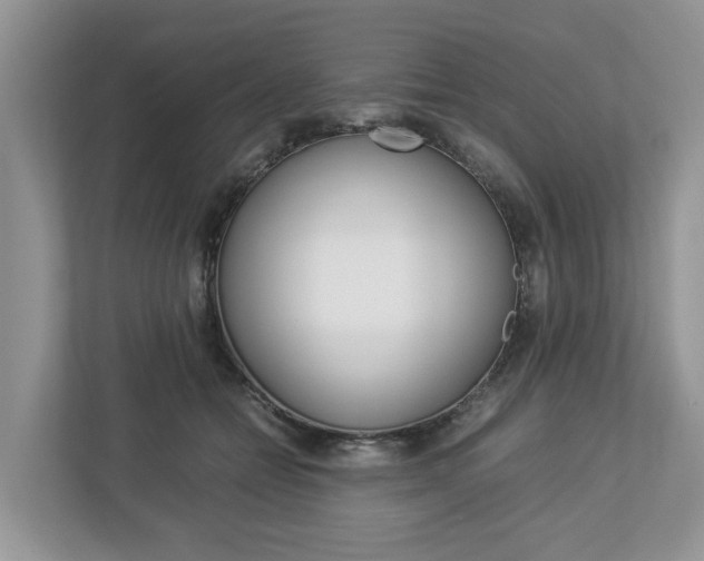 X0000113010558200908270942