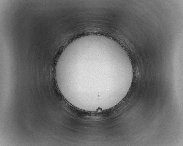 X0000113010559200908270942