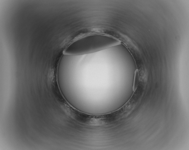 X0000113010560200908270942