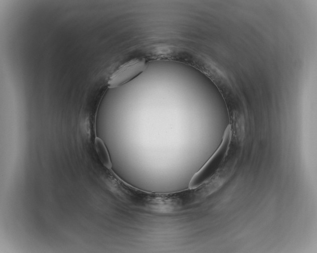 X0000113010562200908270942