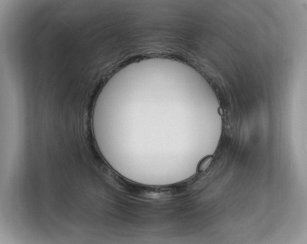 X0000113010563200908270942