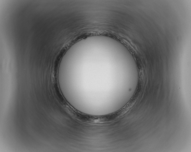 X0000113010564200908270942
