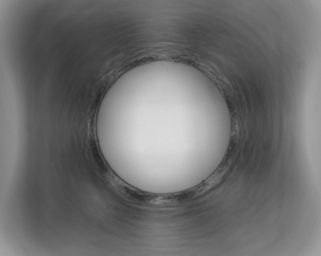 X0000113010568200908270942